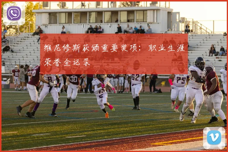 维尼修斯获颁重要奖项:职业生涯荣誉全记录