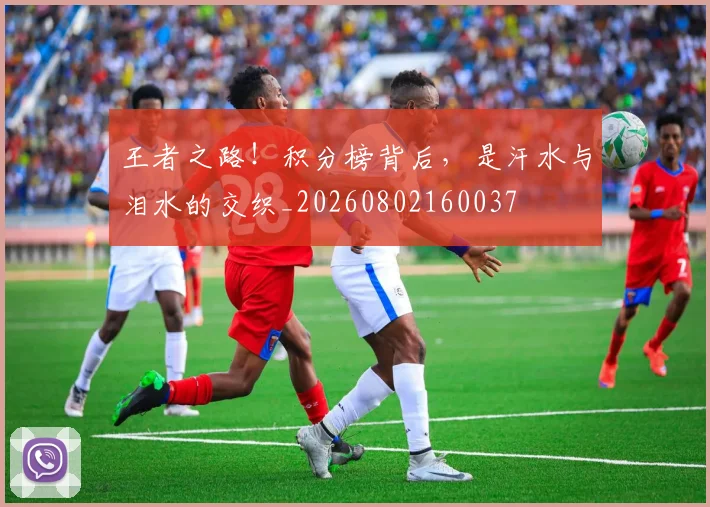王者之路!积分榜背后,是汗水与泪水的交织_20260802160037